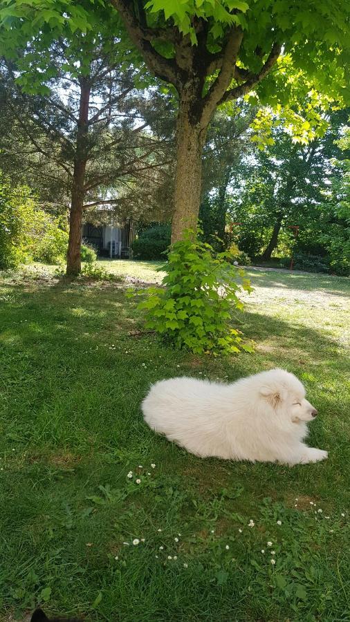 Le Cloitre Saint-Liphard Bed & Breakfast Meung-sur-Loire Exterior photo